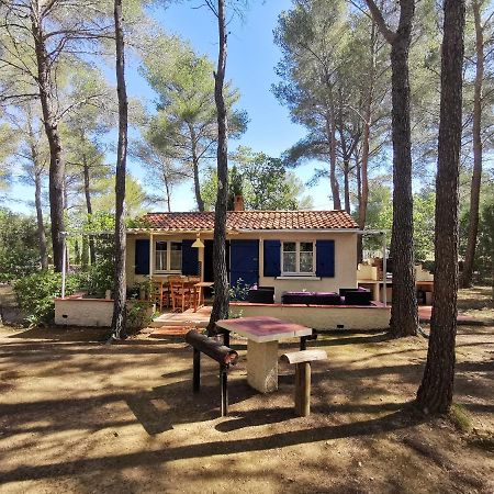 Maisonnette en pleine nature Le Beausset Extérieur photo